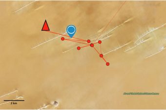 Image with missing alt attribute found on nabu.de