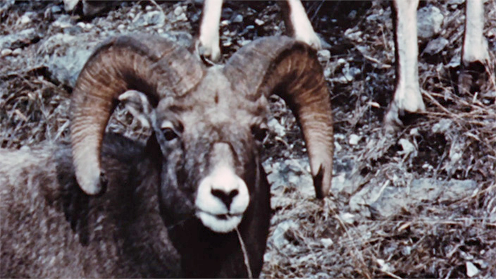 Image with missing alt attribute found on onf.ca