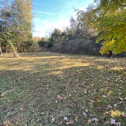 Image with missing alt attribute found on gotoauction.com