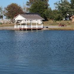 Image with missing alt attribute found on gotoauction.com