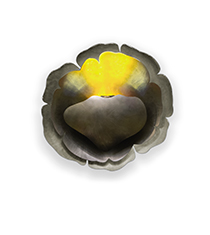 Image with missing alt attribute found on brabbu.com