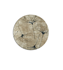 Image with missing alt attribute found on brabbu.com