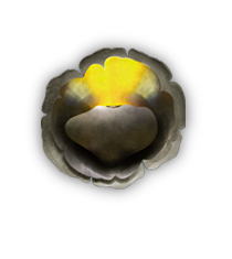 Image with missing alt attribute found on brabbu.com