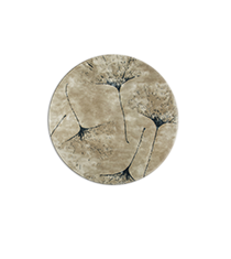 Image with missing alt attribute found on brabbu.com