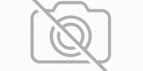 Image with missing alt attribute found on budtraffic.net