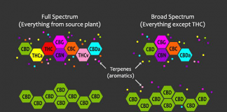 Image with missing alt attribute found on buzzsharer.com