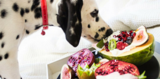 Image with missing alt attribute found on buzzsharer.com