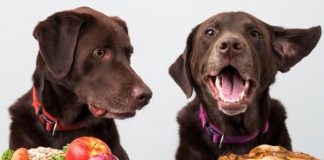 Image with missing alt attribute found on buzzsharer.com