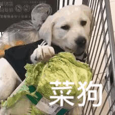 Image with missing alt attribute found on duitang.com