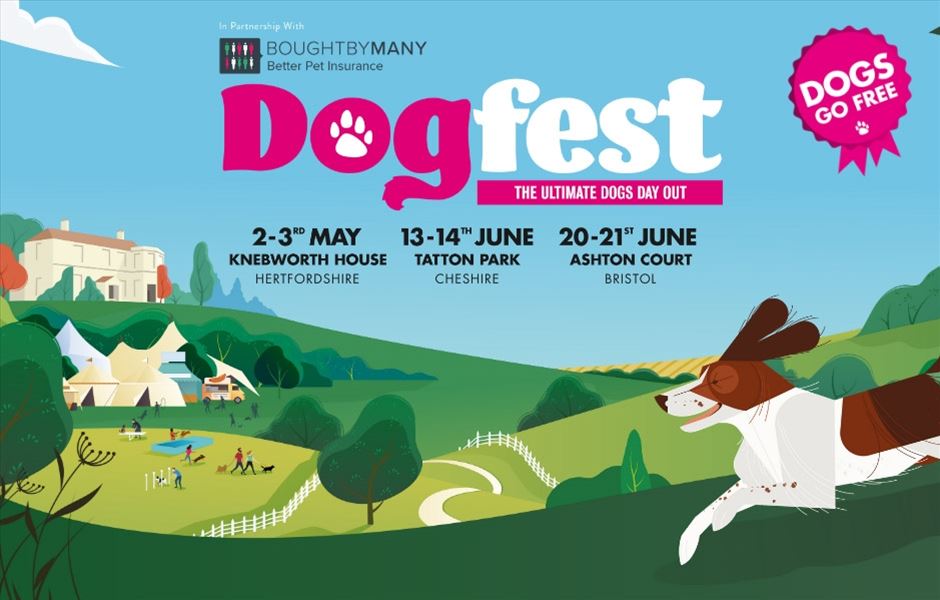 DogFest