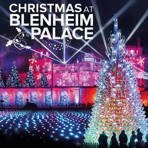 Image with missing alt attribute found on seetickets.com