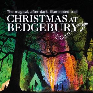 Image with missing alt attribute found on seetickets.com