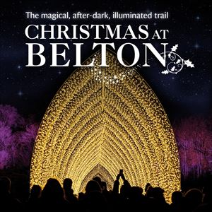 Image with missing alt attribute found on seetickets.com