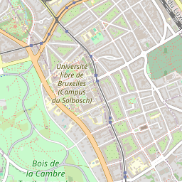 Image with missing alt attribute found on webking.be