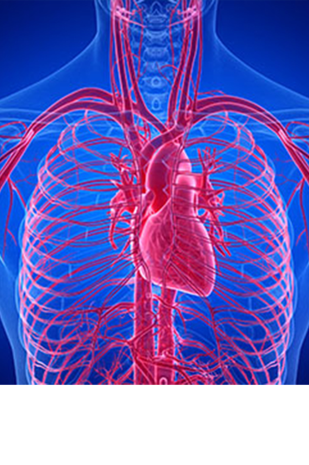 Image with missing alt attribute found on caremarqmedical.com