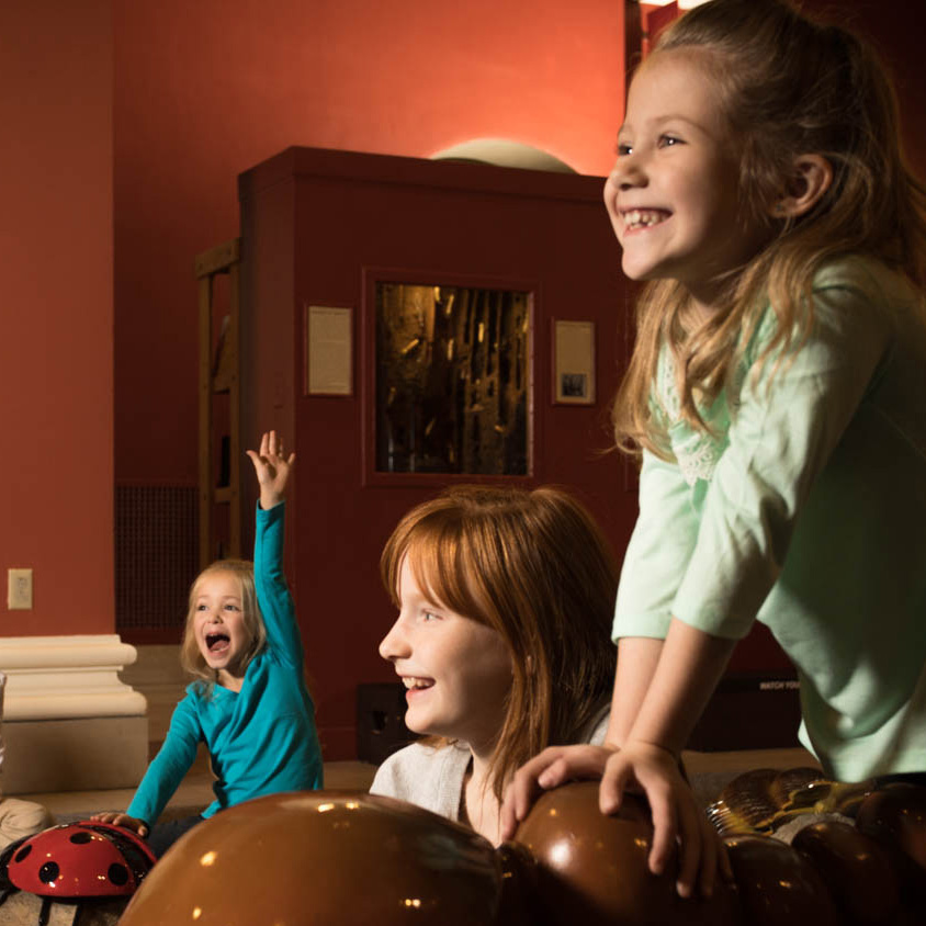 Super Science Saturdays