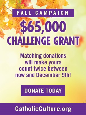 Image with missing alt attribute found on catholicculture.org