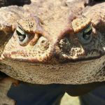 Image with missing alt attribute found on elsalvador.com