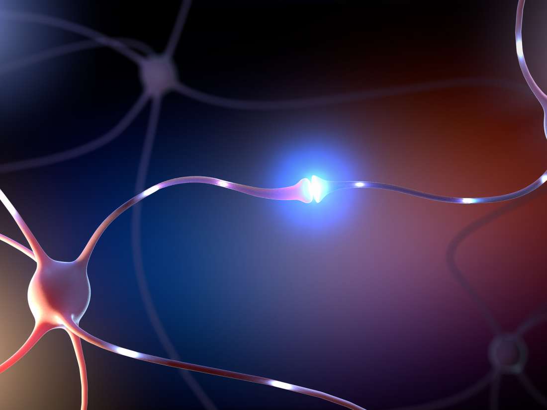 Transport breakdown in brain cells may lead to Alzheimer's, Parkinson's