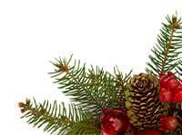 Image with missing alt attribute found on acehardware.com