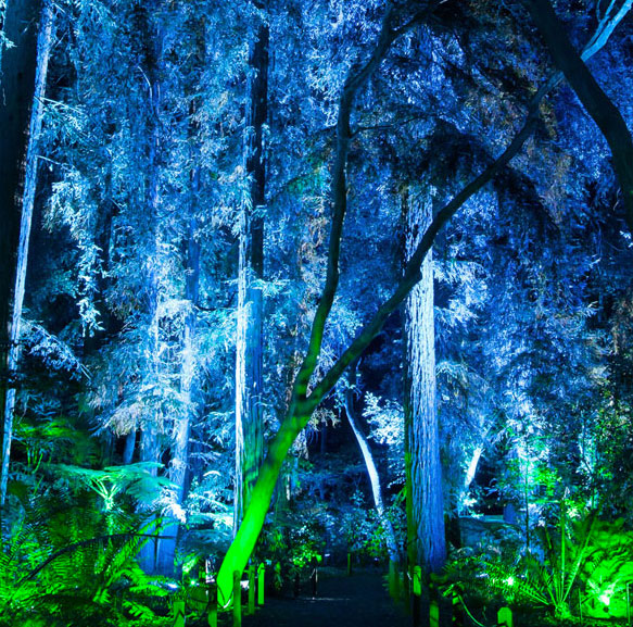 Image with missing alt attribute found on 4wall.com