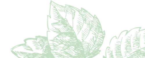 Image with missing alt attribute found on activatedyou.com