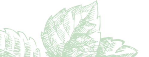 Image with missing alt attribute found on activatedyou.com