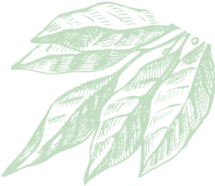 Image with missing alt attribute found on activatedyou.com