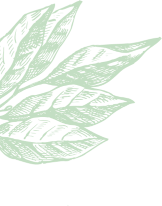 Image with missing alt attribute found on activatedyou.com