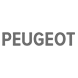 PEUGEOT pièces détaillées de qualité