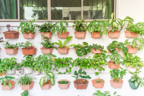 Image with missing alt attribute found on billionairequiz.com