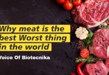 Image with missing alt attribute found on biotecnika.org