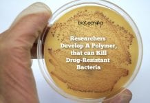 Polymer-Kills-Resistant-Bacteria