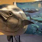 Exploring Toyosu&mdash;Tokyo's Revitalized Fish Market