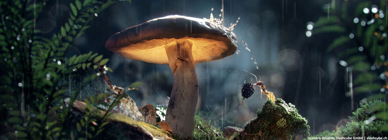 Image with missing alt attribute found on corona-renderer.com