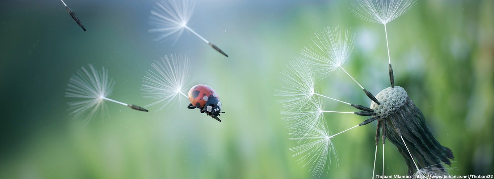 Image with missing alt attribute found on corona-renderer.com