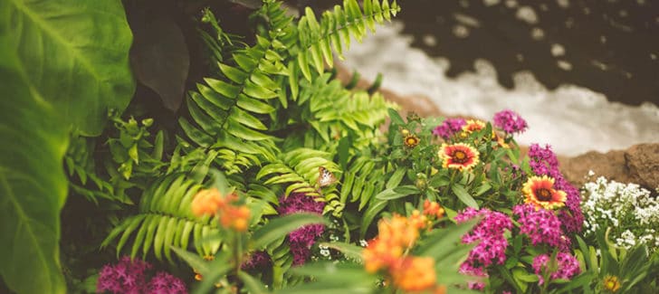 Image with missing alt attribute found on designrulz.com