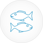 Image with missing alt attribute found on dnaindia.com