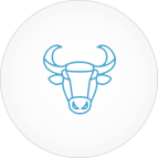 Image with missing alt attribute found on dnaindia.com