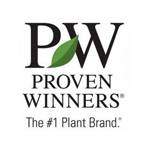 Image with missing alt attribute found on emfluence.com