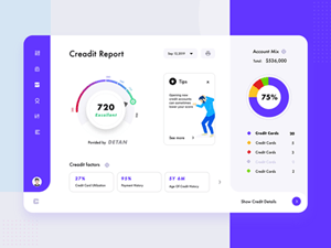 Credit Report Dashboard &ndash; Sketch Resource