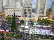 The Best of Winter in the Bay