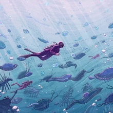 Image with missing alt attribute found on inprnt.com