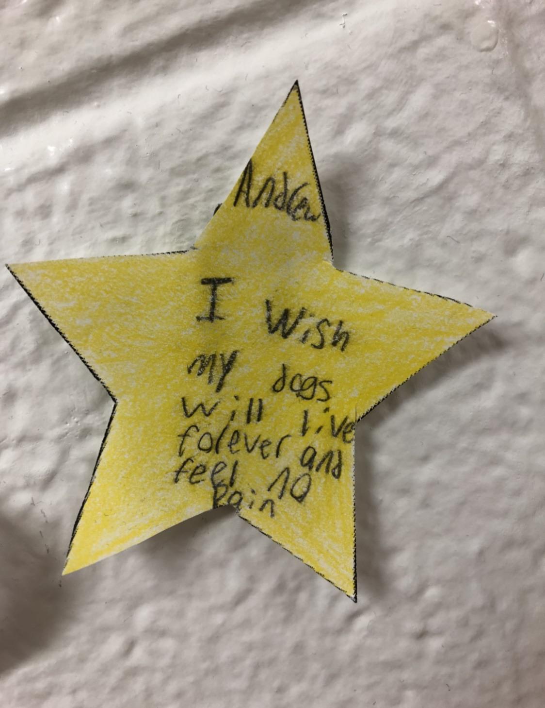 When you wish upon a star...