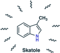 Image with missing alt attribute found on masterorganicchemistry.com