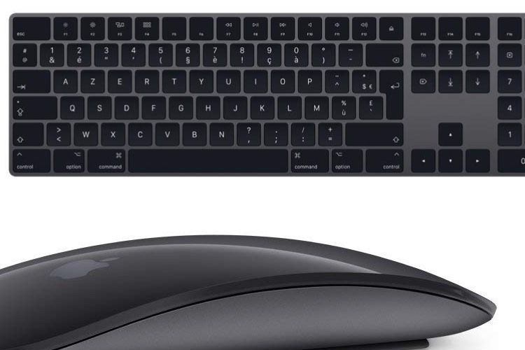 Le Magic Keyboard à 110€ (blanc et gris sidéral), la Magic Mouse à 64€