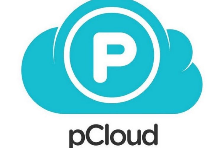 Black Friday : - 75 % sur les solutions de stockage en ligne à vie de pCloud!  📣