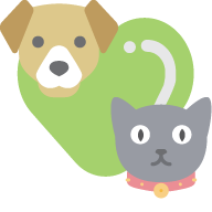 Image with missing alt attribute found on missycoupons.com