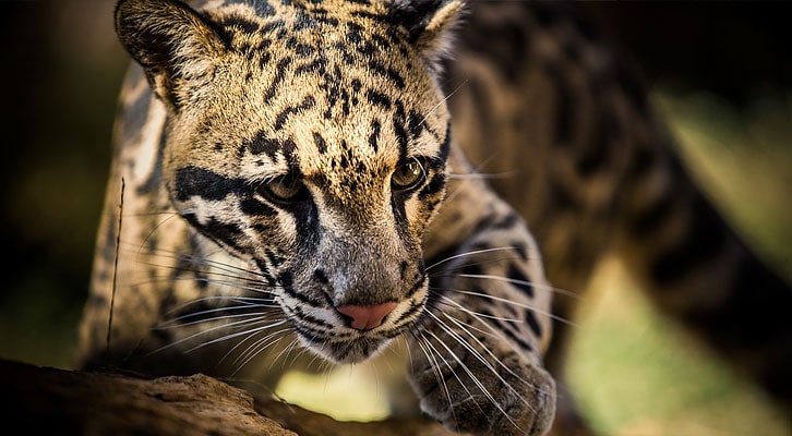 Image with missing alt attribute found on mutualofomaha.com