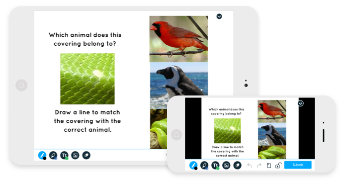 Image with missing alt attribute found on nearpod.com